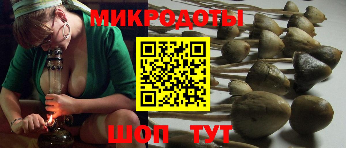 Псилоцибиновые грибы MAGIC MUSHROOMS Черногорск