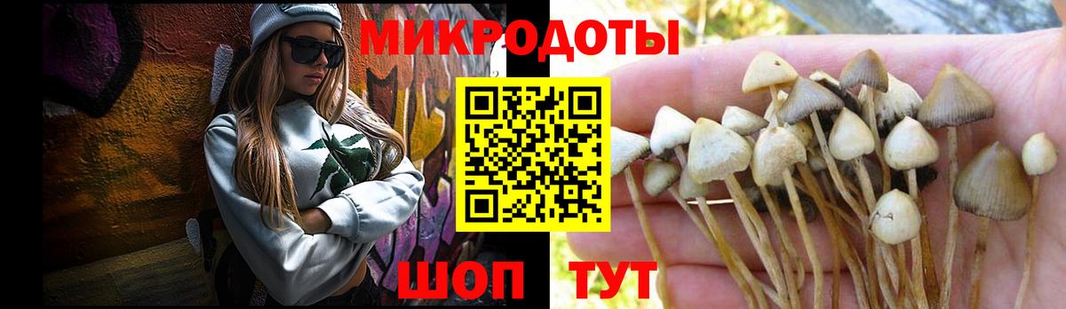 Черногорск  Галлюциногенные грибы MAGIC MUSHROOMS  Вход с VPN 